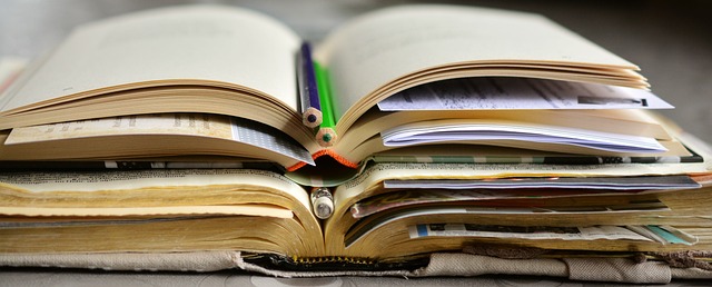 やかましいを辞書で調べる