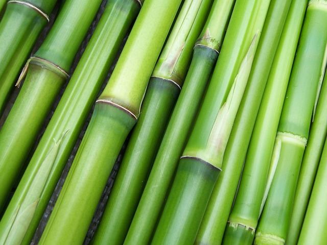 竹の皮がなくてもできる中華ちまきの作り方
