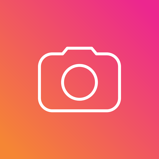 インスタ ストーリー表示の確認方法