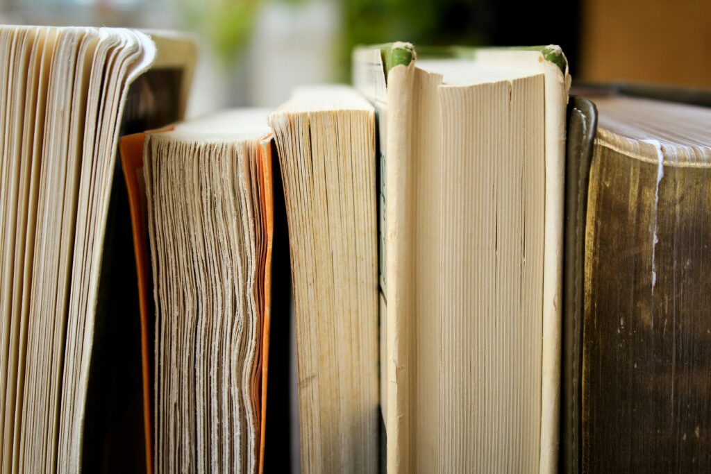 「どよめく」に関する辞書情報