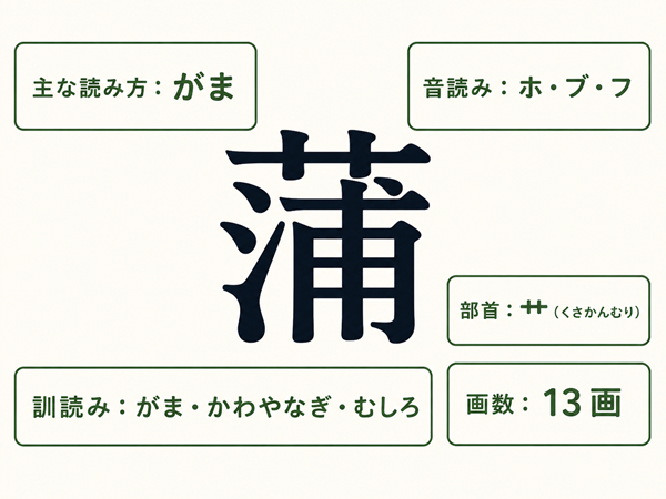 蒲の読み方・部首・画数をまとめた基本情報図解