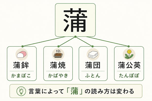 蒲鉾・蒲焼・蒲団・蒲公英で変わる「蒲」の読み方比較