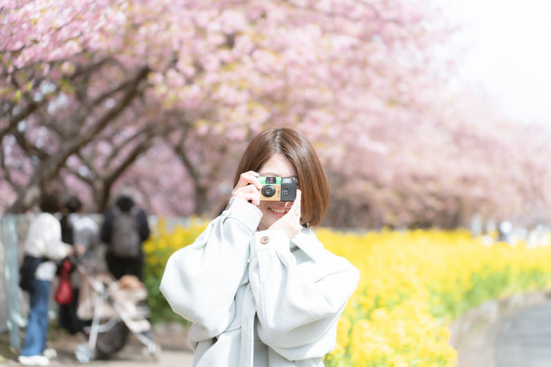 新城市｜新城さくらまつり（桜淵公園）