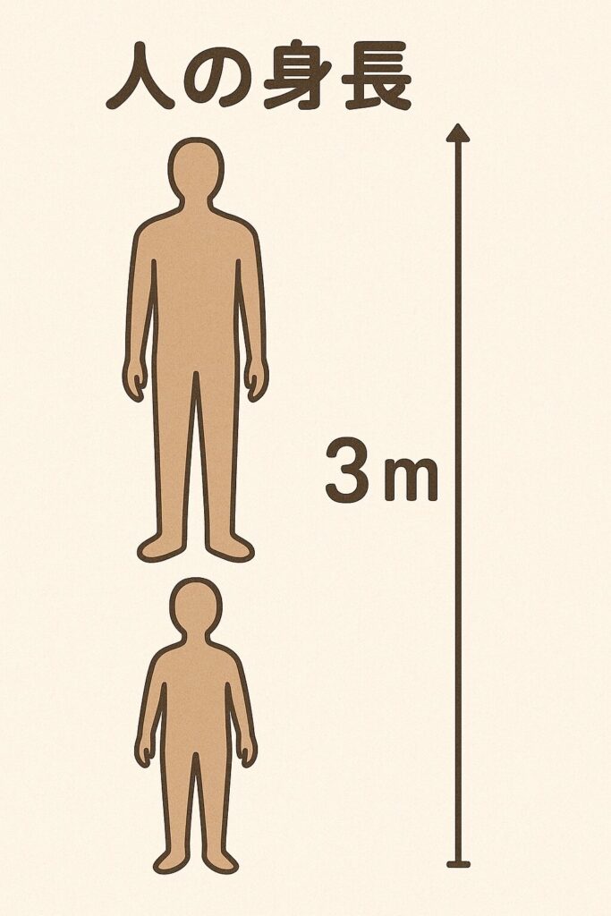 大人2人分の身長で3メートルを表したイメージイラスト