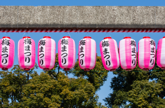 2026年佐布里池梅まつり：見頃と秘密を徹底解剖