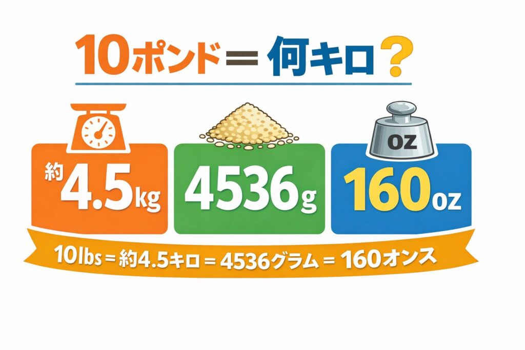 10ポンドは何グラム？もっと細かい単位で知りたいときに