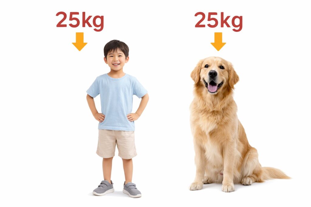 子ども・ペットの体重で25kgってどのくらい？
