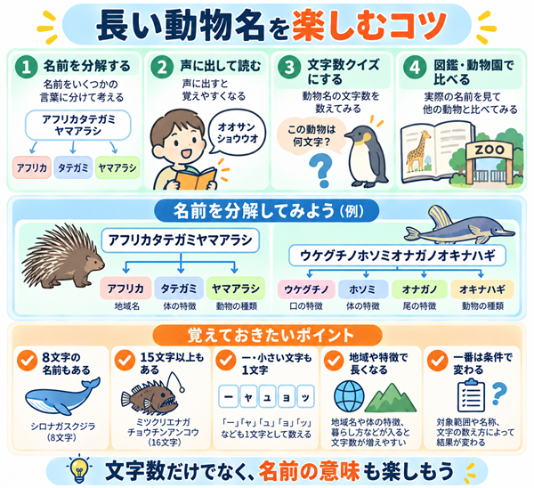 長い動物名の覚え方と文字数を楽しむポイント