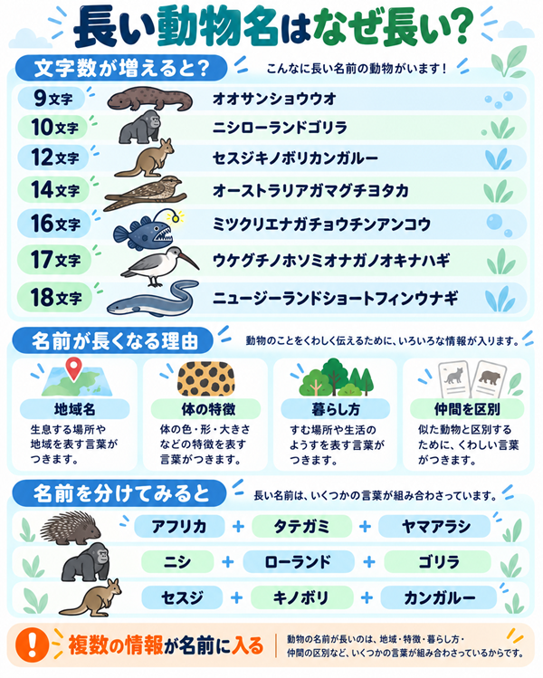 長い動物名の文字数比較と名前が長くなる理由